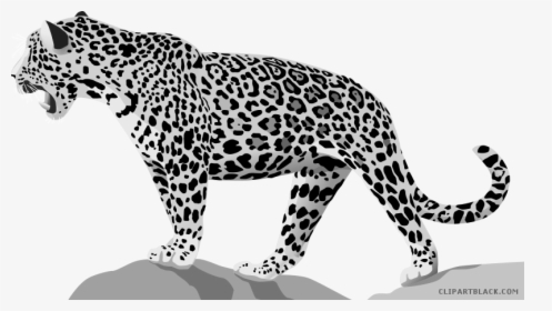 Jaguar Clipart Black And White - Animal White And Black, HD Png Download, Free Download