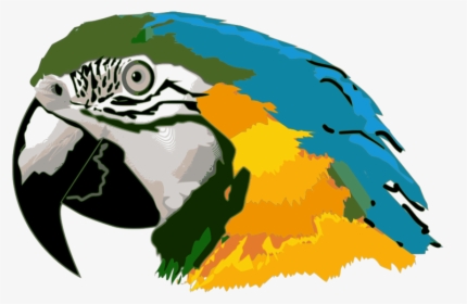 Macaw Face Png Picture - Amazônia Clipart, Transparent Png, Free Download