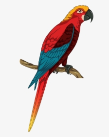 Parrot Glass Colour Etching, HD Png Download, Free Download