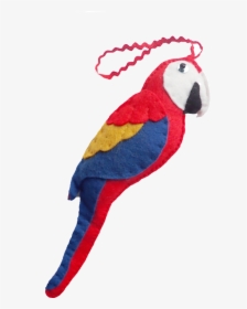 Macaw, HD Png Download, Free Download