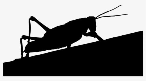 Saltamontes Silueta Png, Transparent Png, Free Download