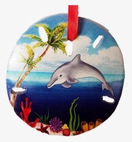 S1020-21 Sand Dollar Dolphin Palm - Common Dolphins, HD Png Download, Free Download