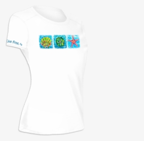 Starfish, Shell, Sand Dollar Trio Women"s Short-sleeve - Active Tank, HD Png Download, Free Download