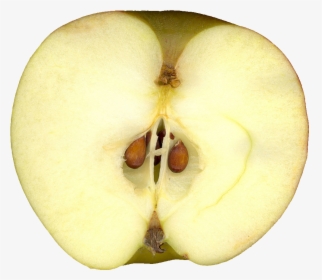 Preview - Apple Cut Open Png, Transparent Png, Free Download
