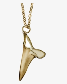 Shark Tooth Png - Shark Tooth Necklace Png, Transparent Png, Free Download