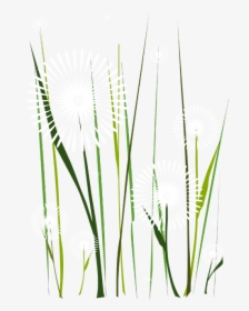 Grass, HD Png Download, Free Download