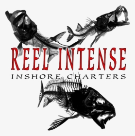 Fish Skeleton Png, Transparent Png, Free Download
