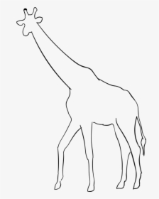 Vector Giraffe Silhouettes - Gambar Jerapah Hitam Putih, HD Png Download, Free Download