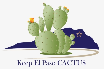 Vector Design By Sonia Schafer For Drennan Enterprises - Eastern Prickly Pear, HD Png Download, Free Download