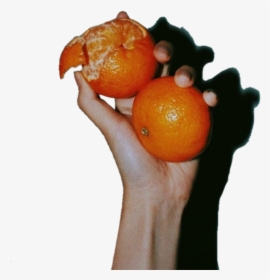 #naranja #orange #fruit #tumblr #aesthetic - Naranja Tumblr Aesthetic, HD Png Download, Free Download