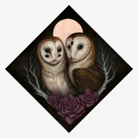 Barn Owl Couple Transparent - Barn Owl, HD Png Download, Free Download