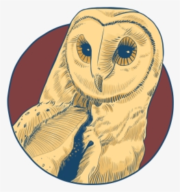 Barn Owl , Png Download - Loimaan Ammatti Ja Aikuisopisto, Transparent Png, Free Download