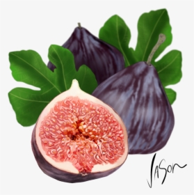 Adam Fig , Png Download - Babylon Fruit, Transparent Png, Free Download
