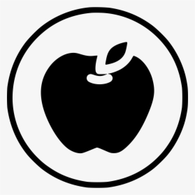 Apple Fruit Teacher Learning Law Nature - Camera Icon, HD Png Download, Free Download