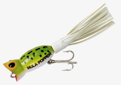 Frog White Belly - Hula Hopper, HD Png Download, Free Download