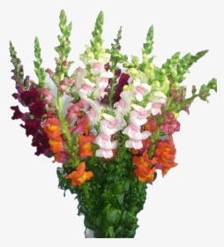 Bunga Unik, HD Png Download, Free Download