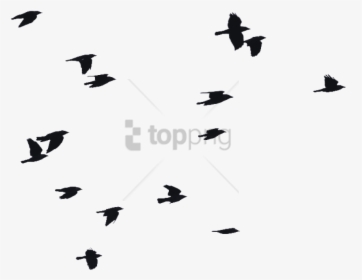 Free Png Birds Flying Silhouette Png Image With Transparent - Silhouette Birds In The Sky, Png Download, Free Download