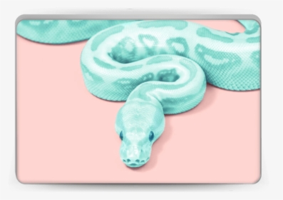 Green Snake Skin Laptop - Paul Fuentes Snake, HD Png Download, Free Download