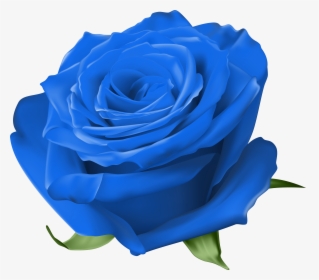 Free Yellow Rose Images Png, Transparent Png, Free Download