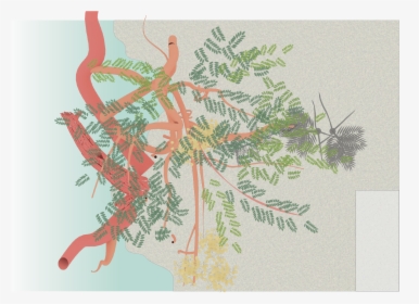 Illustration, HD Png Download, Free Download