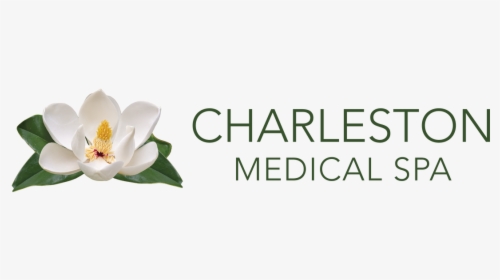Charleston Medical Spa - Magnolia, HD Png Download, Free Download