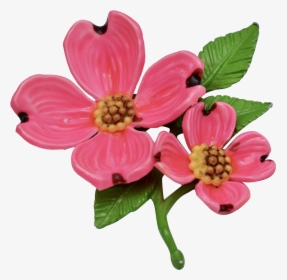 Pink Dogwood Flower Transparent, HD Png Download, Free Download