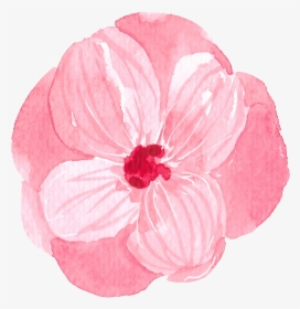 Thank You For Contacting Us - Persian Buttercup, HD Png Download, Free Download
