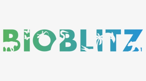 Bioblitz Logo 2018-03 - Graphic Design, HD Png Download, Free Download