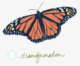 The Process-5 - Monarch Butterfly, HD Png Download, Free Download