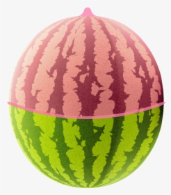 Watermelon Condom, HD Png Download, Free Download
