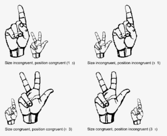 Sign Language Number 1, HD Png Download, Free Download