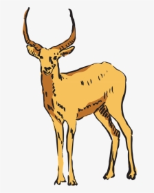 Antilopa Png, Transparent Png, Free Download