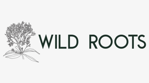 Wild Roots - Graphics, HD Png Download, Free Download
