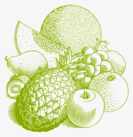 Fruits Drawing Png White, Transparent Png, Free Download
