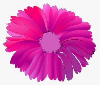 Pink And Fuchsia Flowers, HD Png Download, Free Download