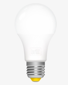Led Light Bulb Wind Down - Incandescent Light Bulb, HD Png Download, Free Download