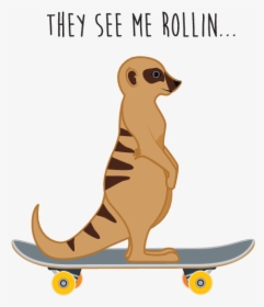 Skateboarding, HD Png Download, Free Download