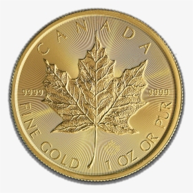 Canadian Gold Maple - Coin, HD Png Download, Free Download