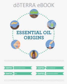 Doterra Essential Oils Origins - Doterra Essential Oils And Fitness, HD Png Download, Free Download
