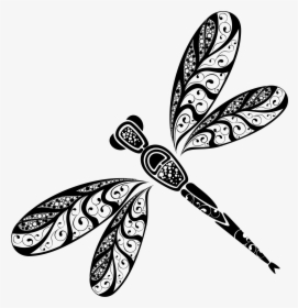 Dragonfly, HD Png Download, Free Download