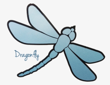 Dragonfly, HD Png Download, Free Download