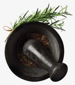 Mortar And Pestle With Herb Sprig - Houseplant, HD Png Download, Free Download