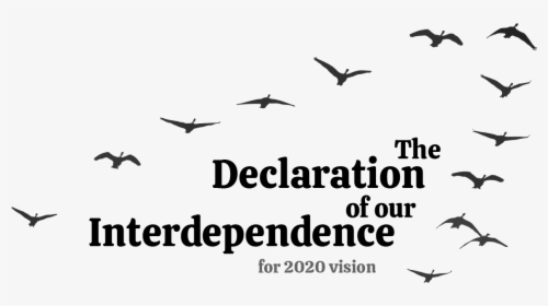 The Declaration Of Our Interdependence - Flock, HD Png Download, Free Download