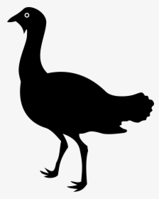 Bird Goose Duck Silhouette Clip Art - Bustard Silhouette, HD Png Download, Free Download