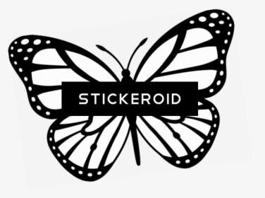 Butterfly With Dots Tattoo , Png Download - Butterfly Clipart Black And White, Transparent Png, Free Download