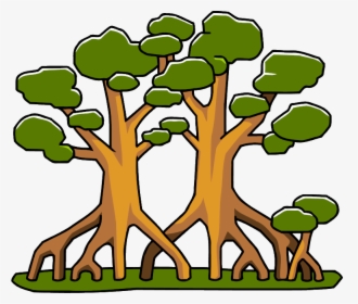 Mangrove Tree Clipart Banner Download 28 Collection - Transparent Mangrove Tree Clipart, HD Png Download, Free Download