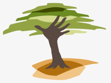 Mangrove Tree Clipart Banner Download Eden Reforestation - Eden Reforestation Projects, HD Png Download, Free Download