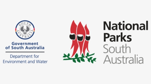 Dewnpsavertcmykblack-1 - Government Of South Australia, HD Png Download, Free Download