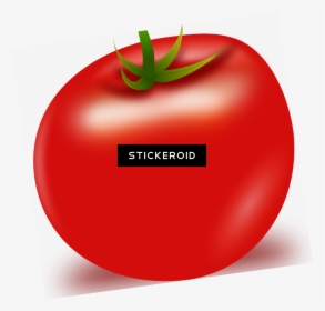 Cherry Tomatoes , Png Download - Cherry Tomatoes, Transparent Png, Free Download