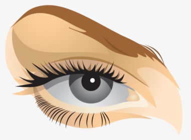 Illustration, HD Png Download, Free Download